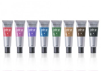 Color Up Salerm 55ml