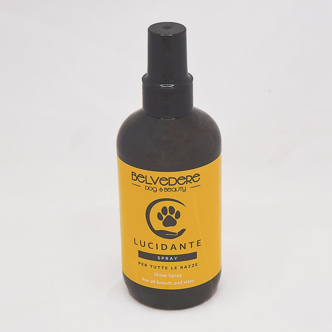 BELVEDERE DOG AND BEAUTY LUCIDANTE SPRAY